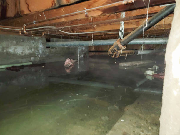 Best Water damage restoration near me  in Vauxhall, NJ