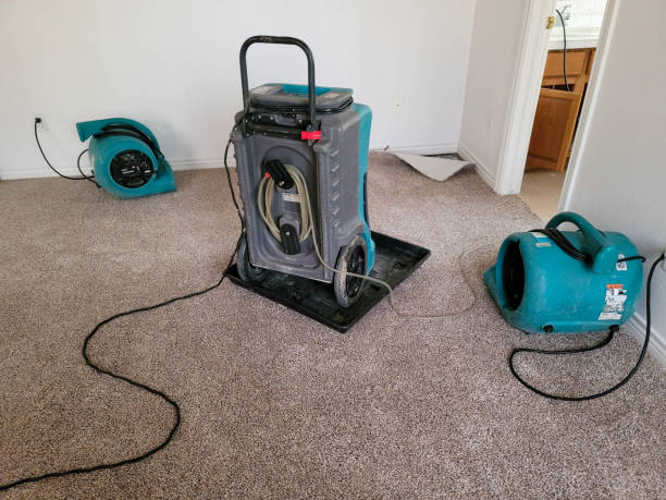 Best Sewage cleanup and water damage restoration  in Vauxhall, NJ